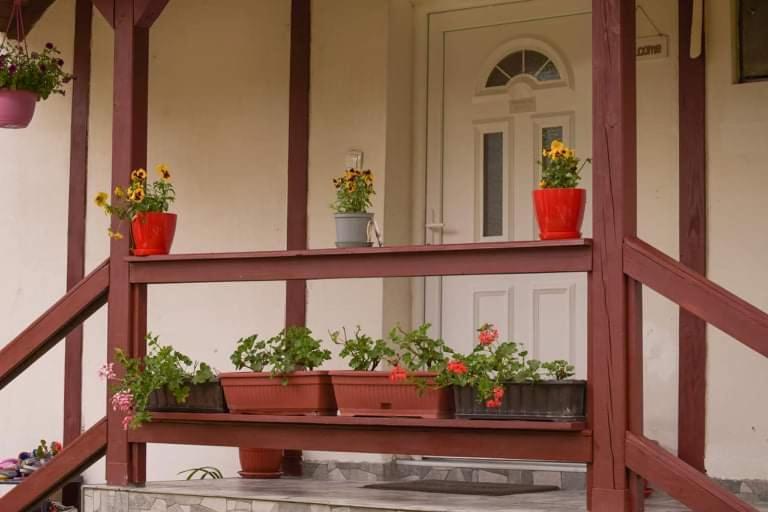 Apartment Dil Kulen Vakuf Kültér fotó