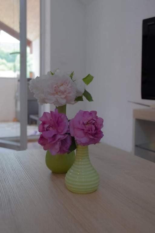 Apartment Dil Kulen Vakuf Kültér fotó